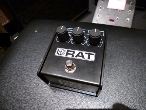 Pro Co White Face RAT Reissue